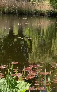 Ina 04 Weerspiegeling